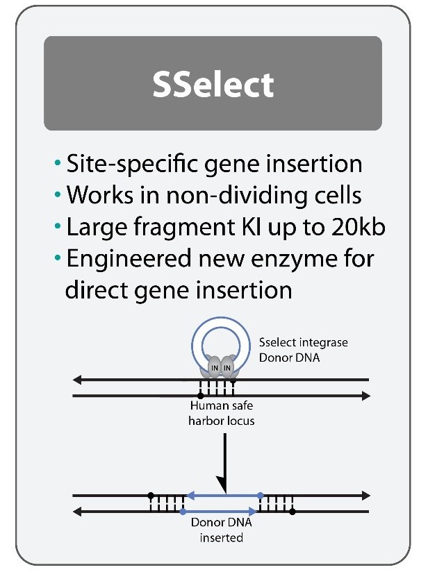 asc_gene_editing_platform-sselect